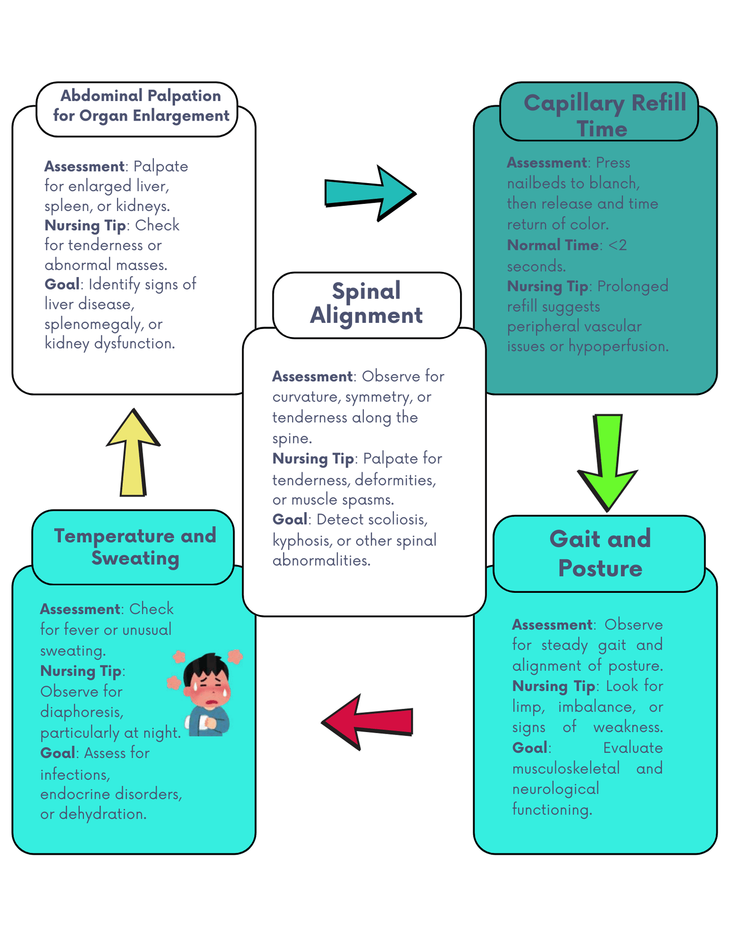 Basic and Advanced Assessment Cheat Guide