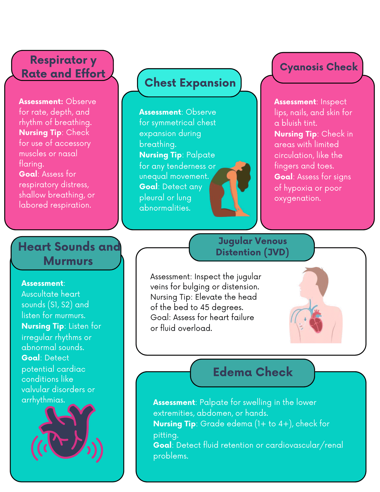 Basic and Advanced Assessment Cheat Guide